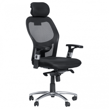 Carmen 7520 Ergonomic Chair, Up to 130 kg, Lockable in Various Positions, Tilt Adjustment, Lumbar Support, Black