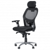 Carmen 7520 Ergonomic Chair, Up to 130 kg, Lockable in Various Positions, Tilt Adjustment, Lumbar Support, Black