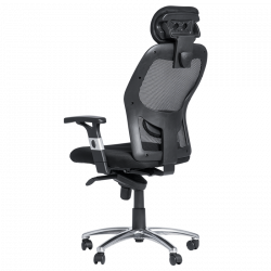 Carmen 7520 Ergonomic Chair, Up to 130 kg, Lockable in Various Positions, Tilt Adjustment, Lumbar Support, Black
