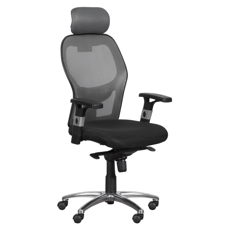 Carmen 7520 Ergonomic Chair, Up to 130 kg, Lockable in various positions, Tilt adjustment, Lumbar support, Black/Gray
