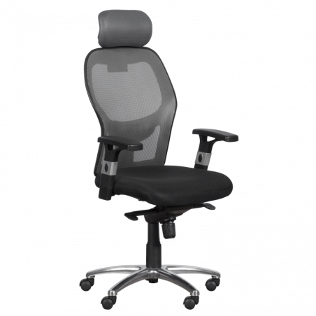 Carmen 7520 Ergonomic Chair, Up to 130 kg, Lockable in various positions, Tilt adjustment, Lumbar support, Black/Gray