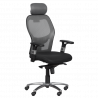 Carmen 7520 Ergonomic Chair, Up to 130 kg, Lockable in various positions, Tilt adjustment, Lumbar support, Black/Gray