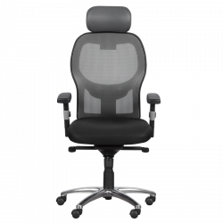 Carmen 7520 Ergonomic Chair, Up to 130 kg, Lockable in various positions, Tilt adjustment, Lumbar support, Black/Gray