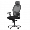 Carmen 7520 Ergonomic Chair, Up to 130 kg, Lockable in various positions, Tilt adjustment, Lumbar support, Black/Gray