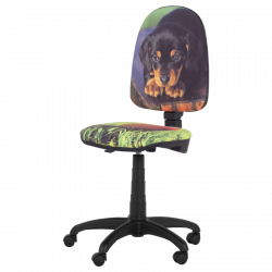 Carmen Prestige Dog Child's Chair, Up to 120 kg, Backrest Lock in Any Position, Seat Depth Adjustment, Green/Black