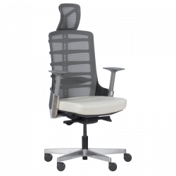 Carmen ALBERTO Ergonomic...