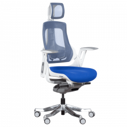 AMBRA Ergonomic Chair, Up...