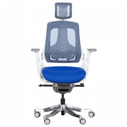AMBRA Ergonomic Chair, Up to 130 kg, Breathable Mesh, Flame-Retardant Upholstery, Backrest Lockable in Multiple Positions, Smooth Adjustment, Royal Blue