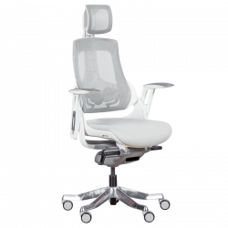 AMBRA Ergonomic Chair, Up...