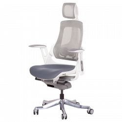 AMBRA Ergonomic Chair, Up to 130 kg, Breathable Mesh, Flame-Retardant Upholstery, Backrest Lockable in Multiple Positions, Smooth Adjustment, Gray