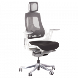 AMBRA Ergonomic Chair, Up...