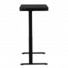 Carmen CR-118 E Ergonomic Adjustable Desk, Leveling Feet, Control Panel, Display, USB, Memory, Anti-Collision Sensor, Black
