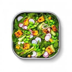 Black+Blum FBSS-SQ-L017 Food Container, 1.4 L, Square, Oven-safe, BPA-free, Stainless steel, Gray