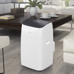 Мобилен климатик Tesla TTMYW-09CHW