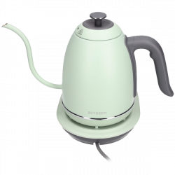 Ηλεκτρικός βραστήρας BUYDEEM K821, 1000W, 0.8 l, Keep warm, τεχνολογία αισθητήρα NTC, LCD, ανοιχτό πράσινο