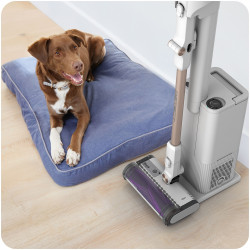 Shark IW3612EUT Upright Vacuum Cleaner, 240W, 0.42 L, 3 modes, 3 settings, 3 attachments, Sensors for detecting invisible dirt, LED, Up to 60 minutes of runtime, White/Gold