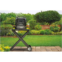 Gratar electric Ninja OG701EU, 2400W, Pana la 260C, Acoperire interna amina ceramica, Woodfire, Gri