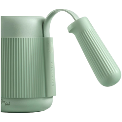 Cafetiera Gooseneck BUYDEEM CD2006, 350 ml, Otel inoxidabil, Verde