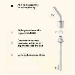 BUYDEEM Portable Glass Straw Bottle 500 ml, model CD1017, color Oats White