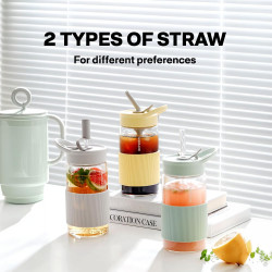 BUYDEEM Portable Glass Straw Bottle 500 ml, model CD1017, color Oats White