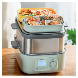 BUYDEEM Bento Lunch Box 500 ml, model CT3007, color Cozy Greenish