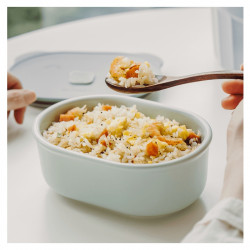 Buydeem CT3007-CG Ceramic Lunch Box, 500 ml, 19.5 x 16.5 cm, Heat-resistant up to 230°C, Oven- and Microwave-safe, Green