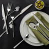 Set de 24 tacâmuri Luigi Ferrero Rome FR-2446, Oțel inoxidabil, Argint