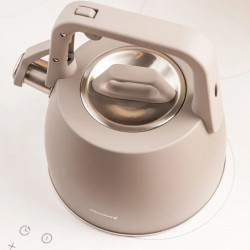 Klausberg KB 7916 Whistling Kettle, 2.5 L, Heat-Insulated Handle, Induction Compatible, Gray