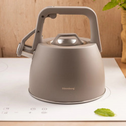Βραστήρας Klausberg KB 7916, 2.5 l, Θερμομονωμένη λαβή, Επαγωγή, Γκρι