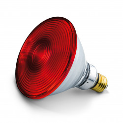 Beurer IL 21 Infrared Lamp, 150W, 5 tilt settings, Continuous operation function, Safety goggles, White