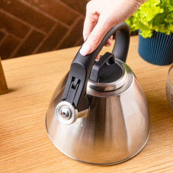 Klausberg KB 7951 Whistling Kettle, 2.5 L, Stainless Steel, Heat-Insulated Handle, Induction Compatible, Matte Stainless Steel