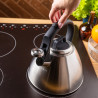 Klausberg KB 7951 Whistling Kettle, 2.5 L, Stainless Steel, Heat-Insulated Handle, Induction Compatible, Matte Stainless Steel