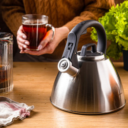 Klausberg KB 7951 Whistling Kettle, 2.5 L, Stainless Steel, Heat-Insulated Handle, Induction Compatible, Matte Stainless Steel