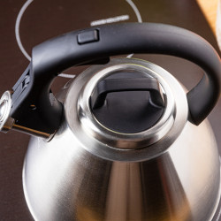 Klausberg KB 7951 Whistling Kettle, 2.5 L, Stainless Steel, Heat-Insulated Handle, Induction Compatible, Matte Stainless Steel