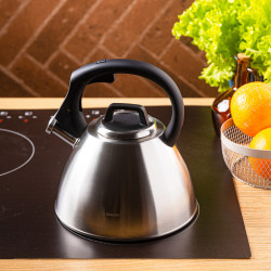 Klausberg KB 7951 Whistling Kettle, 2.5 L, Stainless Steel, Heat-Insulated Handle, Induction Compatible, Matte Stainless Steel