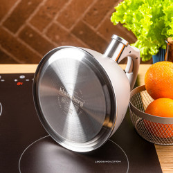 Klausberg KB 7953 Whistling Kettle, 2.5 L, Stainless Steel, Heat-Insulated Handle, Induction Compatible, Beige