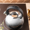 Klausberg KB 7955 Whistling Kettle, 3 L, Insulated Handle, Multi-layer Base, Induction Compatible, Dark Graphite