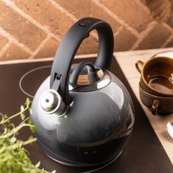 Klausberg KB 7955 Whistling Kettle, 3 L, Insulated Handle, Multi-layer Base, Induction Compatible, Dark Graphite