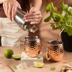 Set de pahare pentru Moscow Mule Kinghoff KH 2000, 2 buc, 500ml, 2 paie, oțel inoxidabil, cupru