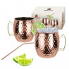 Kinghoff KH 2000 Moscow Mule Glass Set, 2 pieces, 500 ml, 2 straws, Stainless steel, Copper color