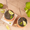 Kinghoff KH 2000 Moscow Mule Glass Set, 2 pieces, 500 ml, 2 straws, Stainless steel, Copper color