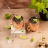 Kinghoff KH 2000 Moscow Mule Glass Set, 2 pieces, 500 ml, 2 straws, Stainless steel, Copper color