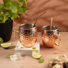 Kinghoff KH 2000 Moscow Mule Glass Set, 2 pieces, 500 ml, 2 straws, Stainless steel, Copper color