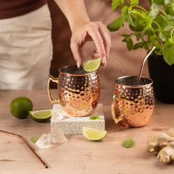 Σετ ποτηριών για Moscow Mule Kinghoff KH 2000, 2 τεμάχια, 500ml, 2 καλαμάκια, Ανοξείδωτο, Χαλκός