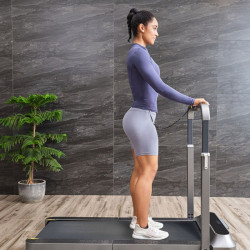 Xiaomi KingSmith WalkingPad R2B TRR2FB Treadmill, 918W, Up to 110 kg, 0.5–12 km/h, 3 modes, LED, Foldable, Black/Gray