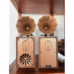 Радио колонка Ashu AS39, 1x8W, 1200mAh, Bluetooth, Кафяв