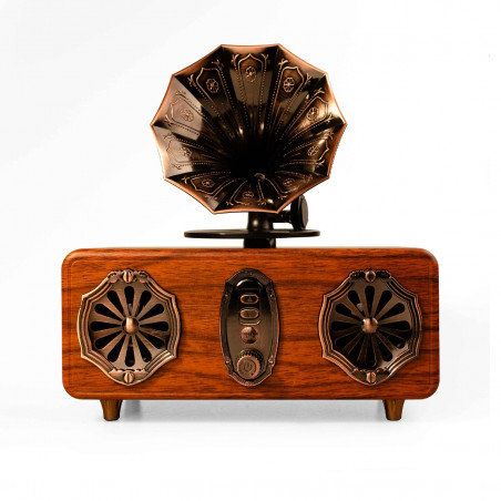 Boxa portabila cu radio Bluetooth Ashu AS36, 2x5W, 1800mAh, Pana la 10 m, Pana la 6-8 h, TWS, card TF, USB, AUX, FM, Мaro