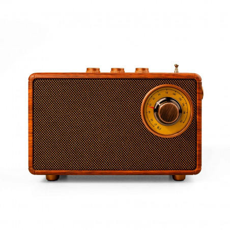 Bluetooth радио колонка Ashu AS23, 5W, 1500mAh, Кафяв