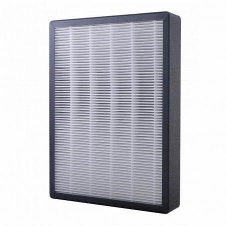 Set de filtre de rezervă pentru purificatorul de aer Oberon 800, 2 bucăți, HEPA, praf, bacterii, particule fine, negru