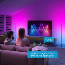 Επίδαυλος λαμπτήρας Smart LED Govee Floor Lamp Basic RGBICW H8076C13, 136 cm, 1000 lm, Wi-Fi, Bluetooth, Matter, Φωνητικός έλεγχος, 58 αποθηκευμένες σκηνές, Μαύρος